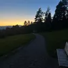 leo bike