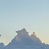 133951292