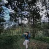 ve_velyne