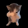 _pbkath