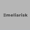 riskaamelyy