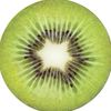 becabermudez