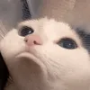 ma.nannn