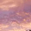mnvkbggvlkhlk