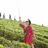 nhung_huro