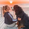baltotheberner