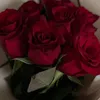 ss_fulanii94
