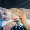 hieu_56789