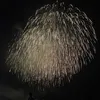 allen06_