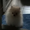 babyttngubb