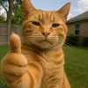 y_fluffy