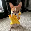 goitatlamafia_k1