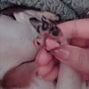 young.estrella2