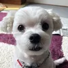 makiiiiiii5