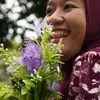 d_sysya