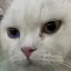 neverknowme55