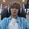 dino___