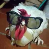 theparaployyyyy