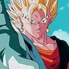 vegetto_1090