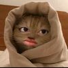 nurhalimah624