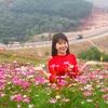 hoangnhi0496
