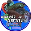 keng_0070
