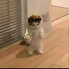 monip_02