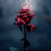 beautifulrose8616