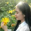 thanhhang22.02