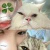 ilove_kiki0
