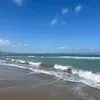 vanessa_1308