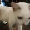 heyitsmaymai
