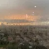 usrvrgoppl