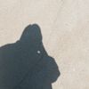 thv_vnka