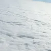 monrndn