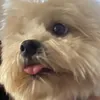 jpegmp3mov