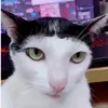 pimepimy_.08