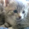 ssopphhiiee_