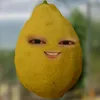 endogsekilo