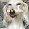 prosopopon