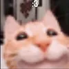 nootjook