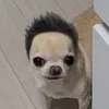 ninebowlsofsoup