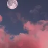 ga..yy