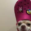 kittyyy.ttt69