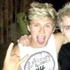 hollyloveslouis