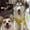 hihi_thecorgi