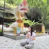 ning_zaa42