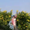 juney_npsp