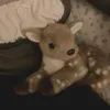 numbxo