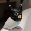 sasasasayul
